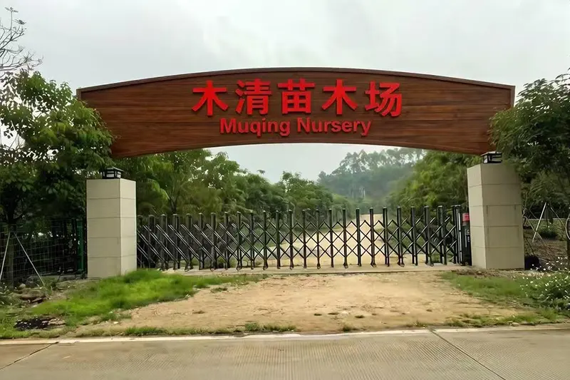 Company Profile